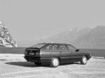 Audi 100 Avant 1988 года (WW)